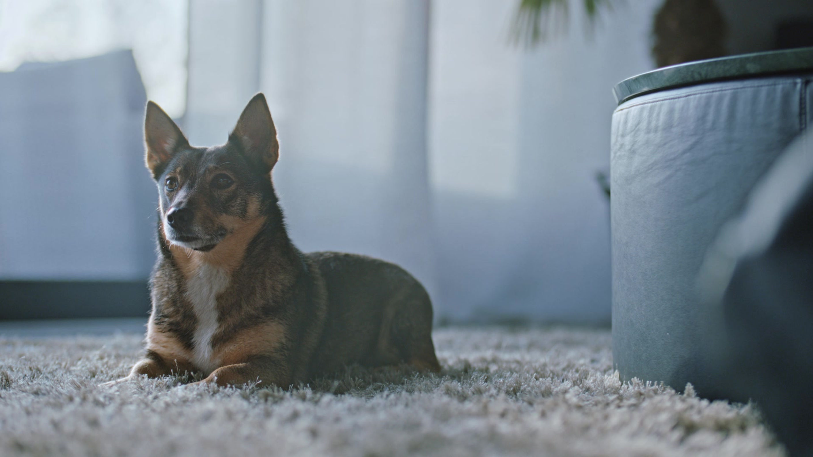 LHV Roheline TVC